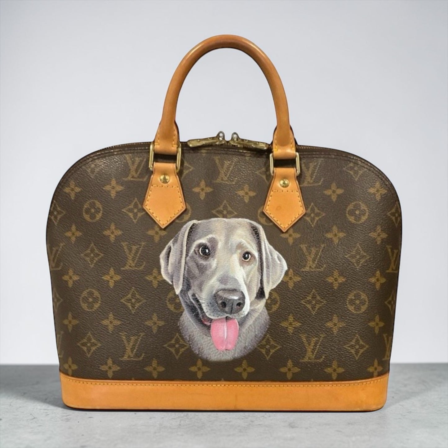 Hand painted Louis Vuitton Bag