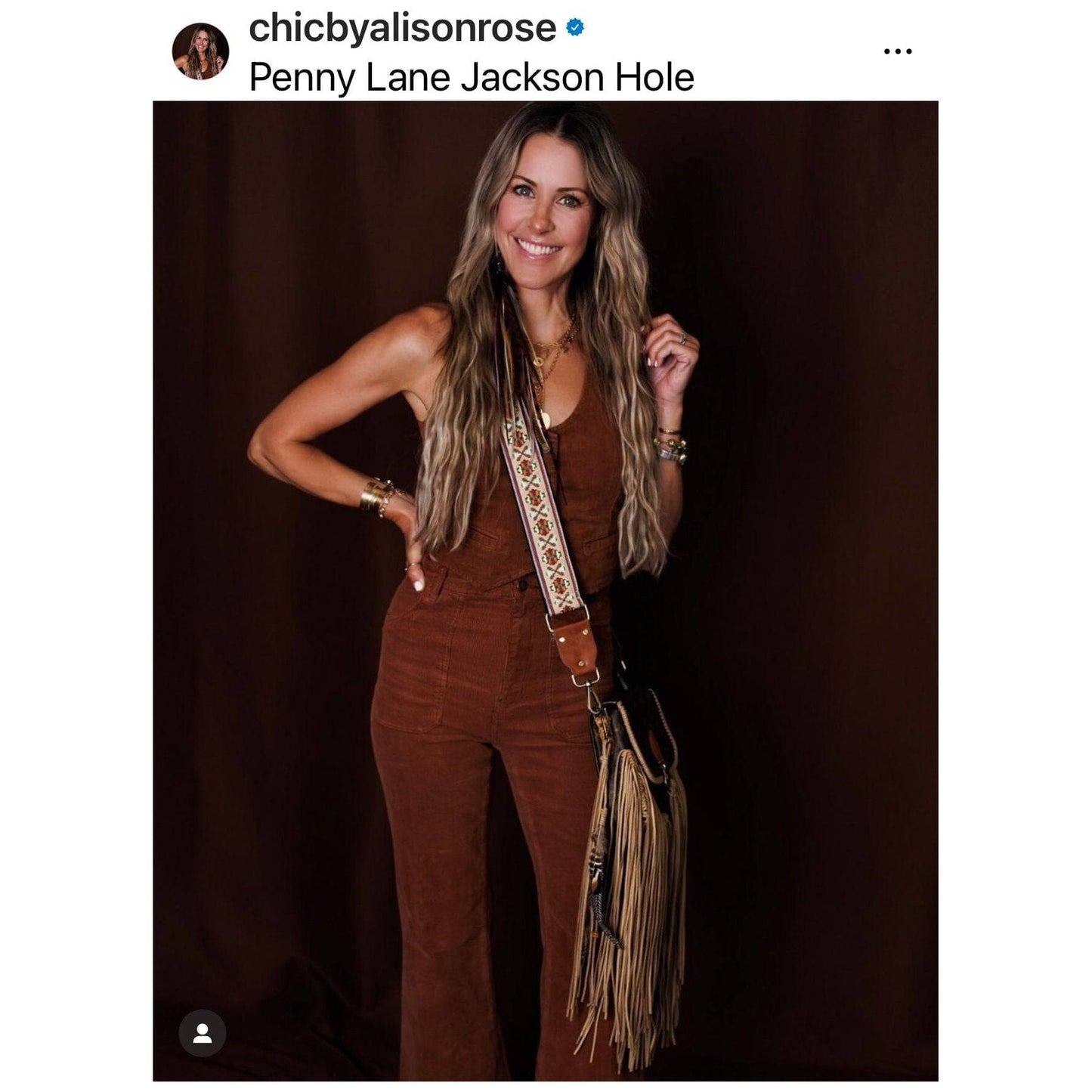 Hand painted Louis Vuitton Bag