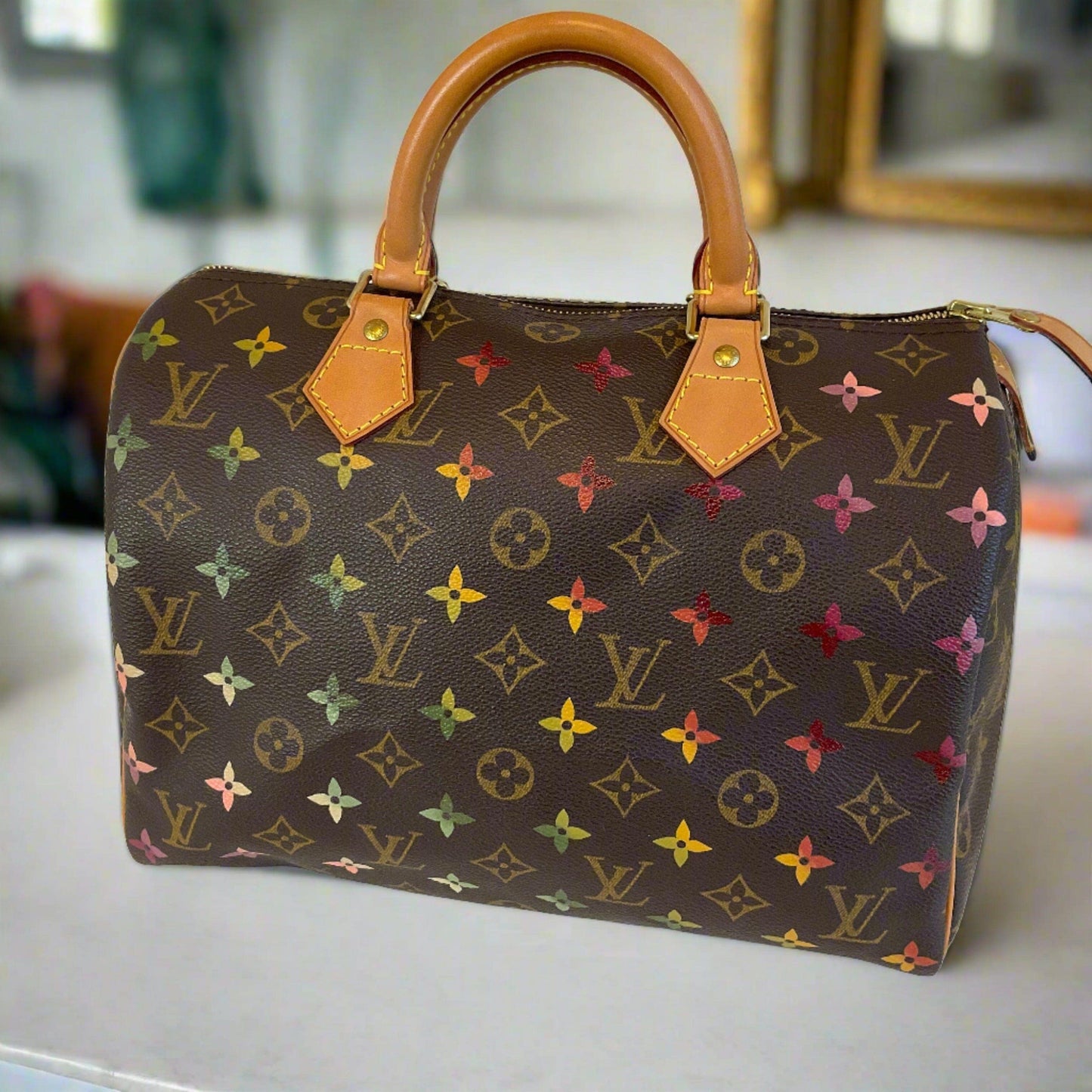 Hand painted Louis Vuitton Bag