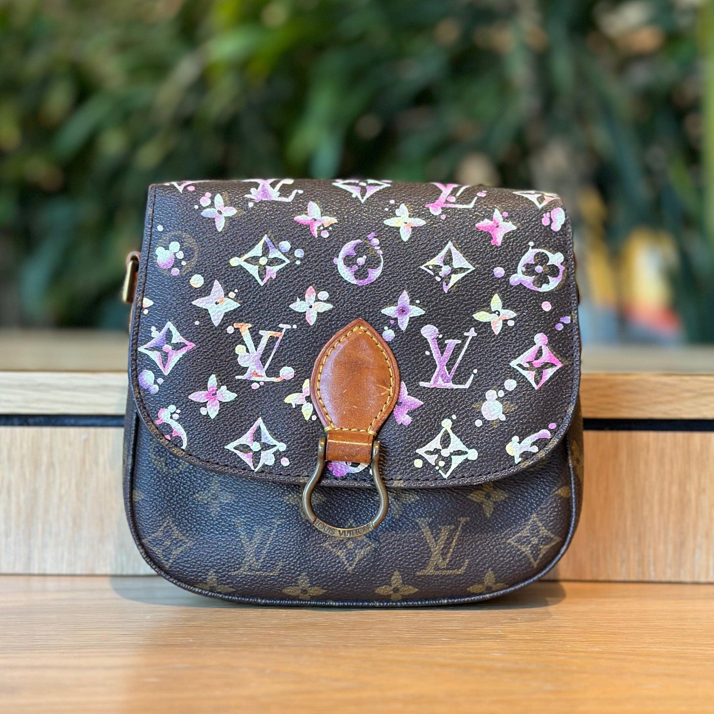 Hand painted Louis Vuitton Bag