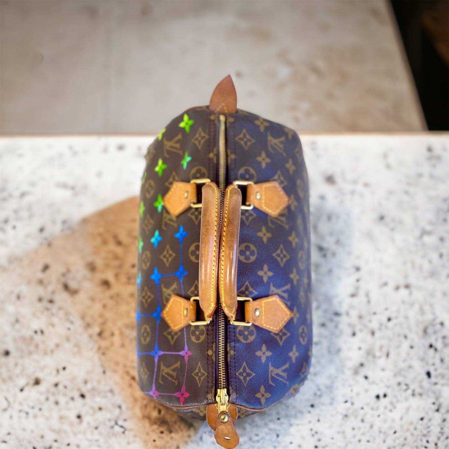 Hand painted Louis Vuitton Bag