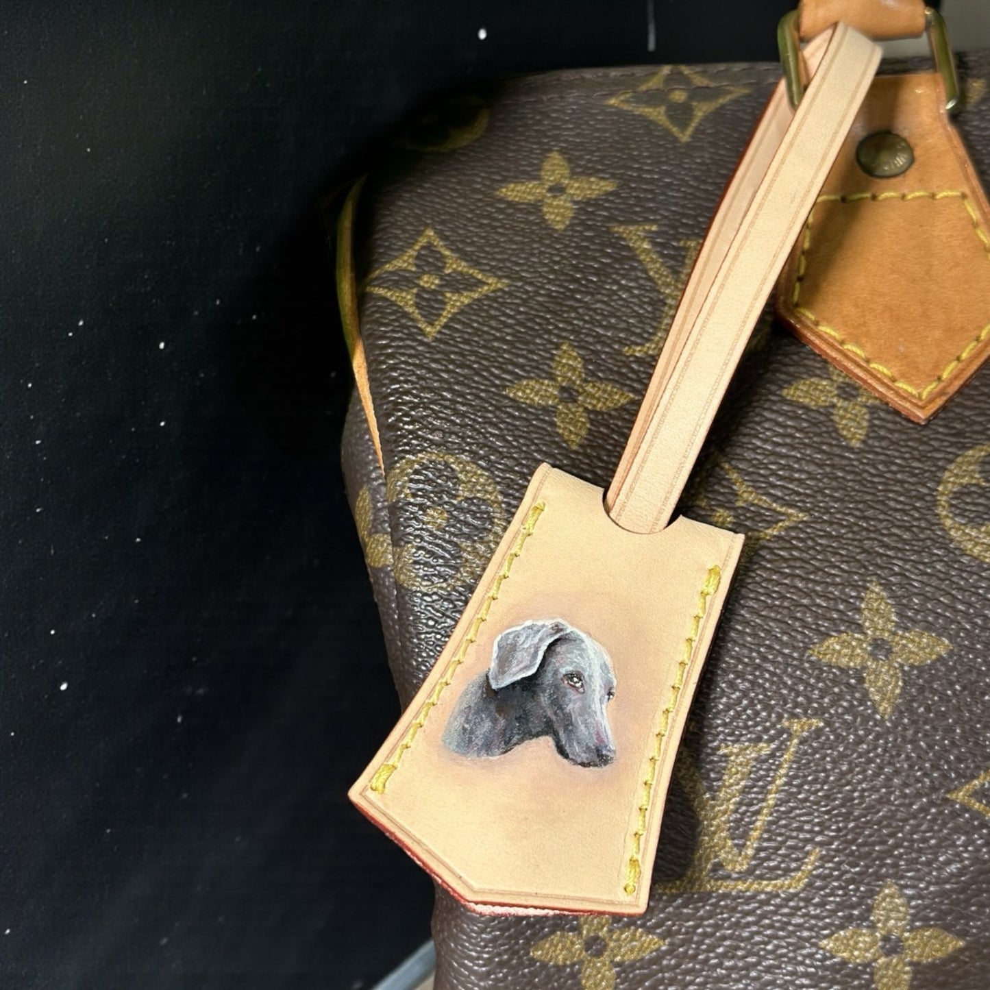 Hand painted Louis Vuitton Bag