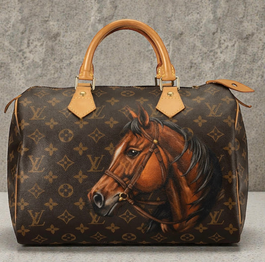 Hand painted Louis Vuitton Bag