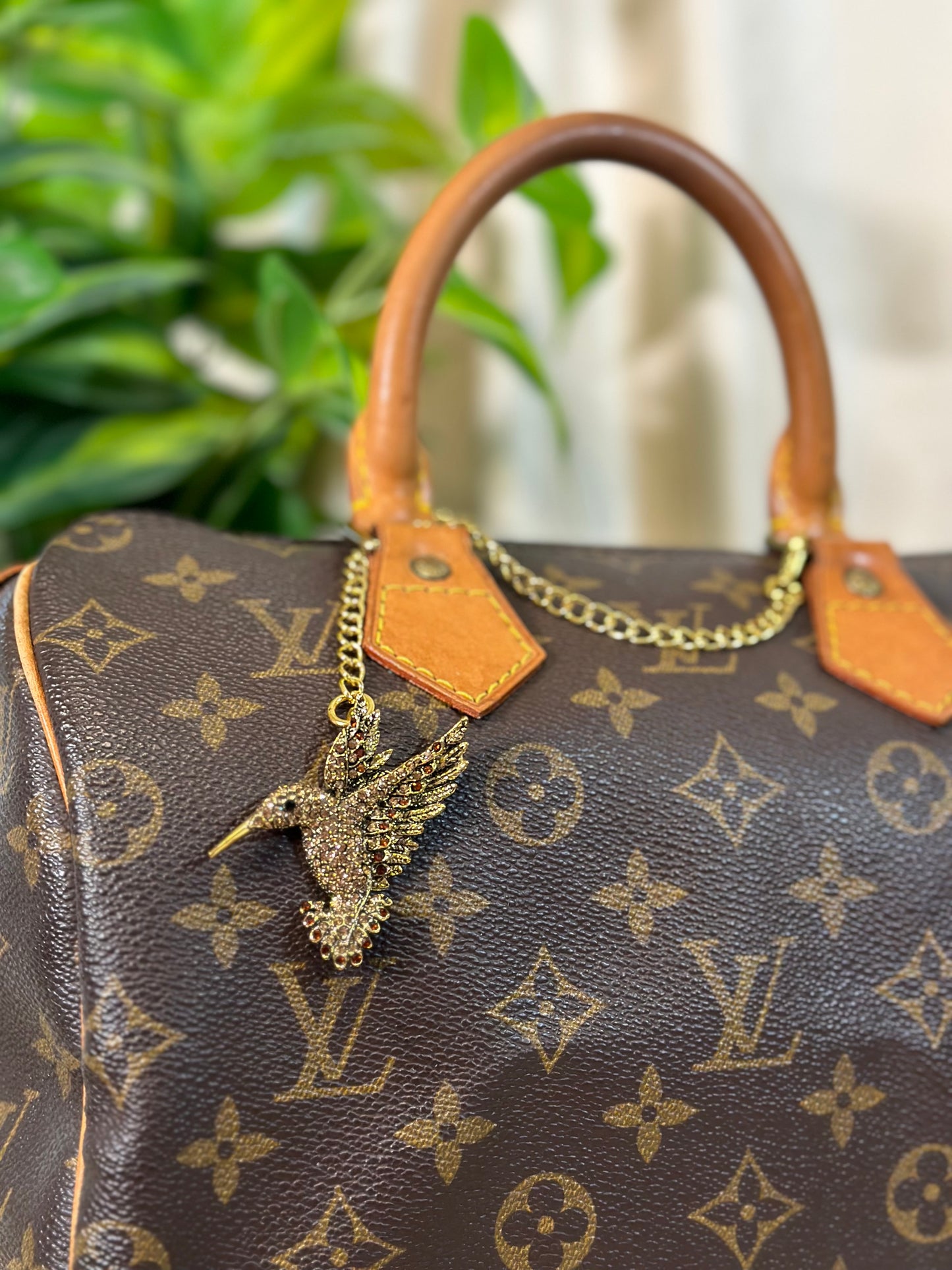 Hummingbird's Flight