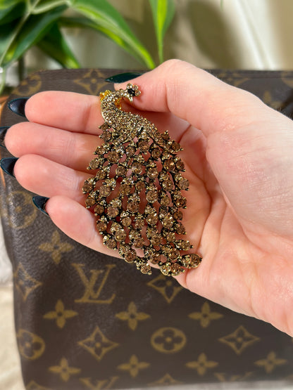 Hand holding a decorative brooch with a patterned background