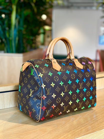 Hand painted Louis Vuitton Bag