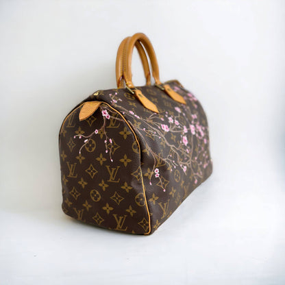 Hand painted Louis Vuitton Bag