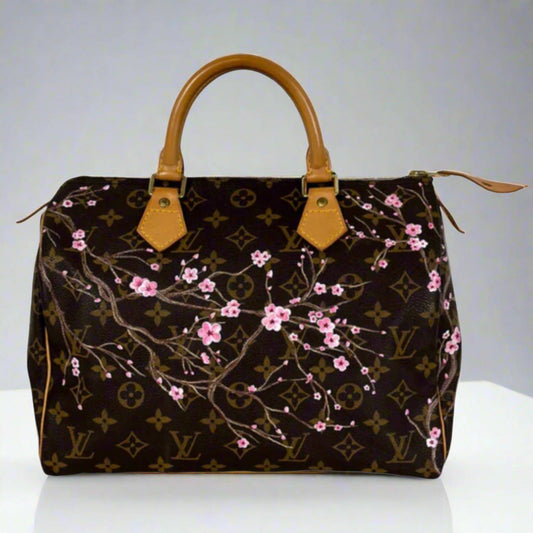 Hand painted Louis Vuitton Bag