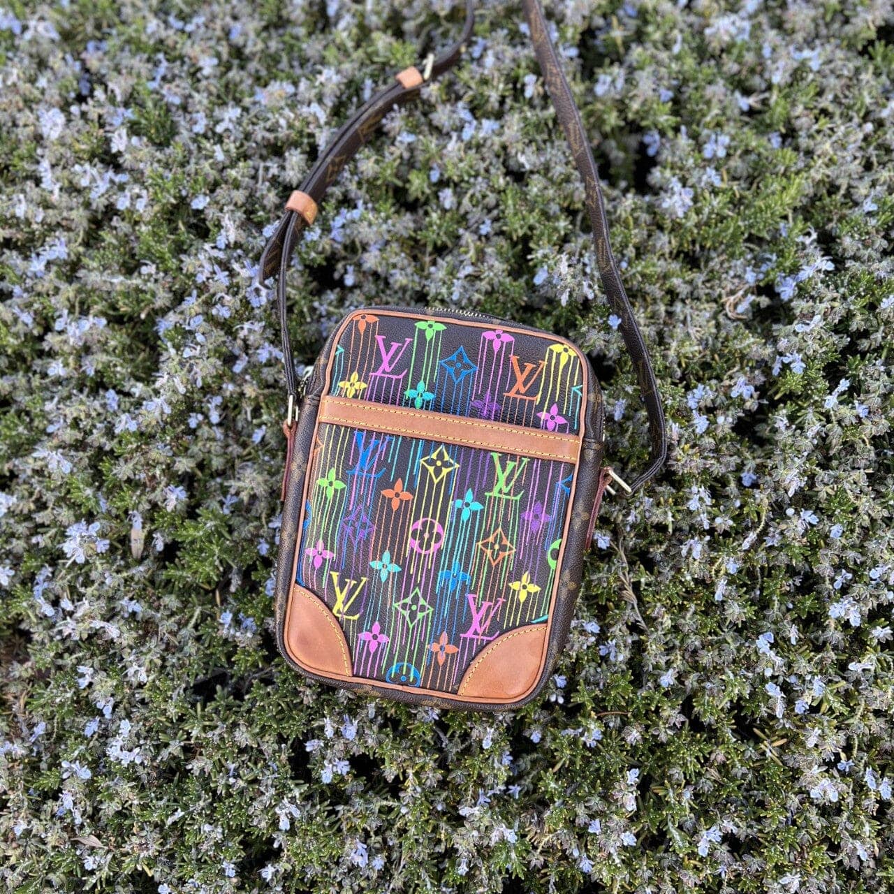 Hand painted Louis Vuitton Bag
