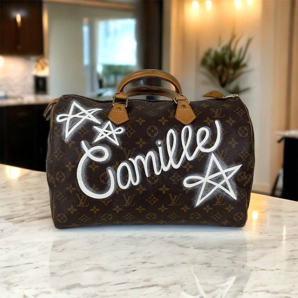 Hand painted Louis Vuitton Bag