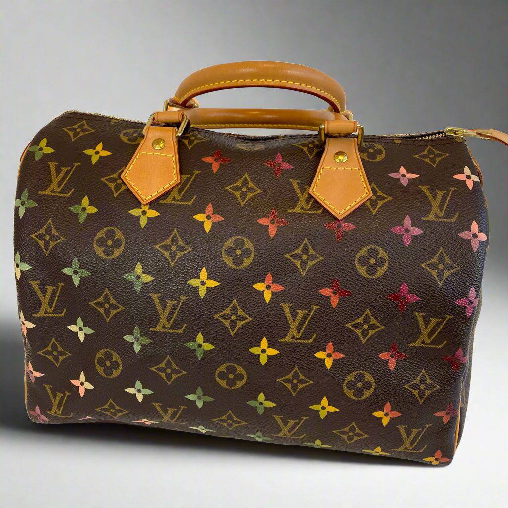 Hand painted Louis Vuitton Bag