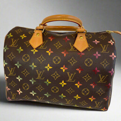 Hand painted Louis Vuitton Bag