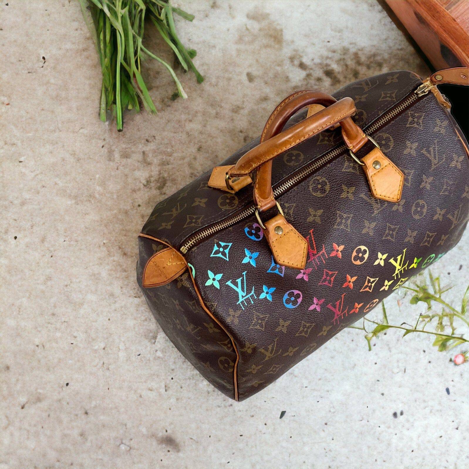 Hand painted Louis Vuitton Bag