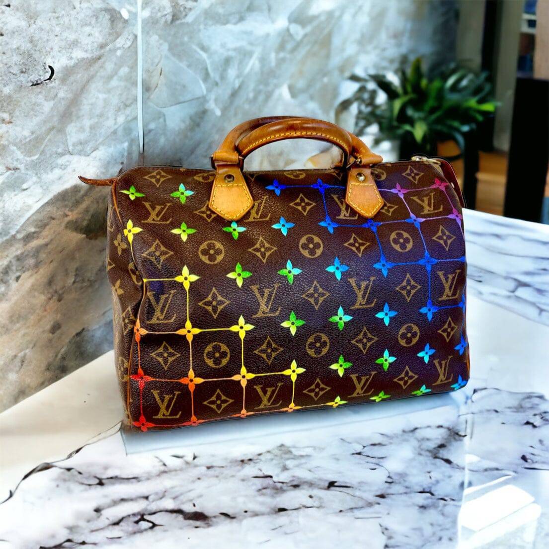 Hand painted Louis Vuitton Bag