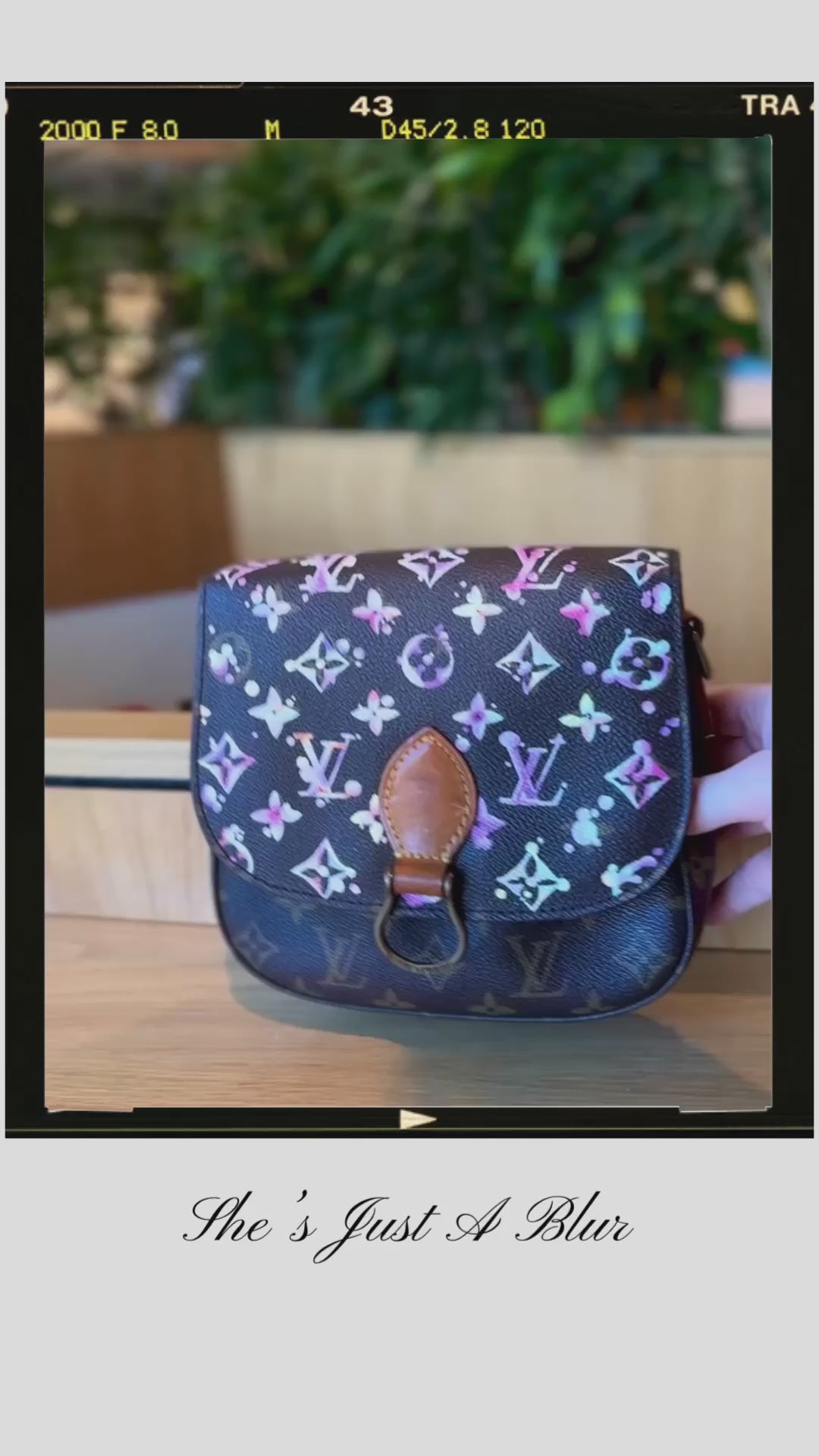 Custom painted preloved Louis Vuitton St. Cloud – New Vintage Handbags