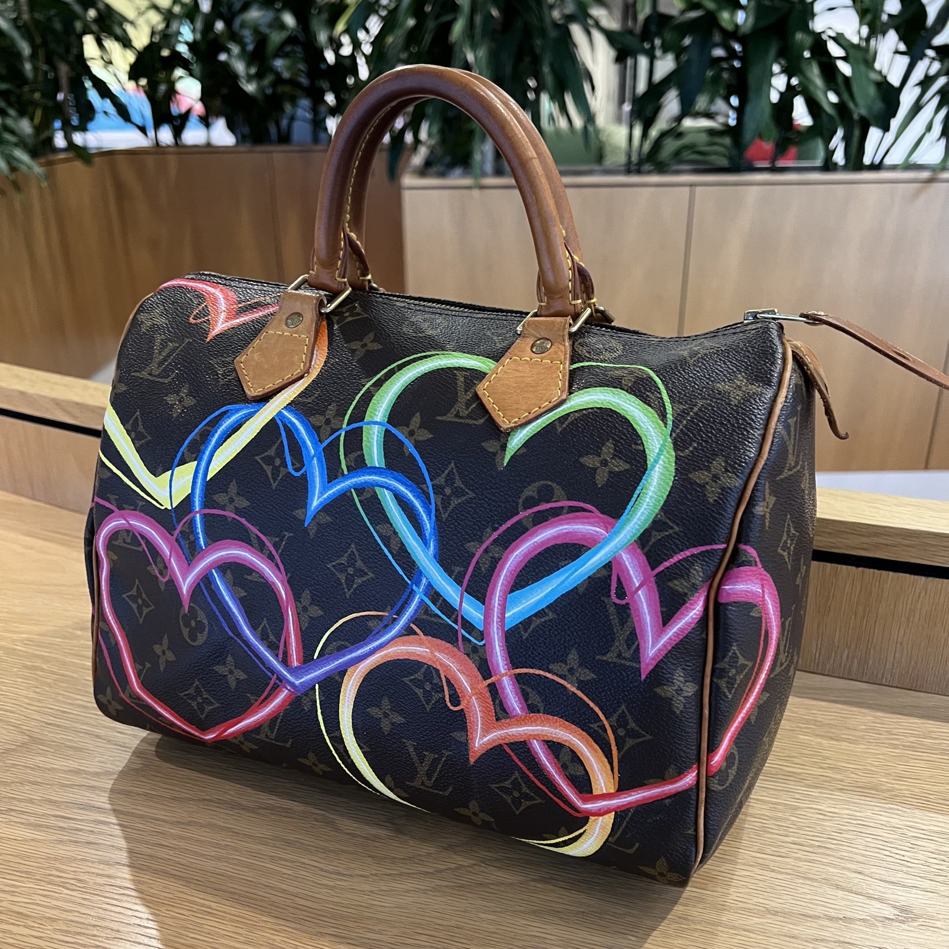 Hand painted Louis Vuitton Bag