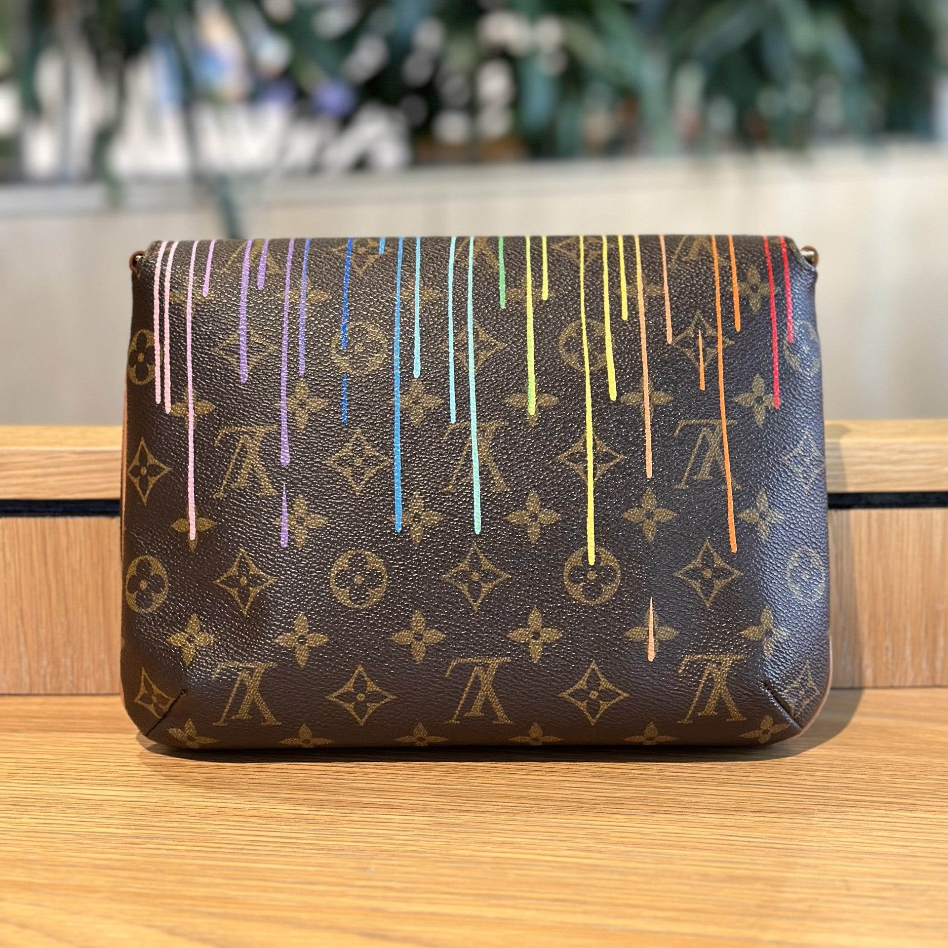 Hand painted Louis Vuitton Bag